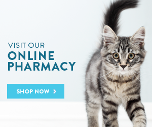 Visit our online pharmacy
